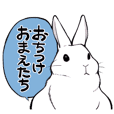 rabbit is  justice