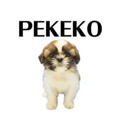 Pekeko's peke peke stamp