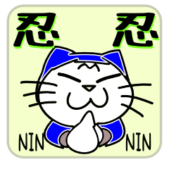 Cat ninja-Z!