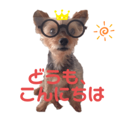 happy life with azukinaco