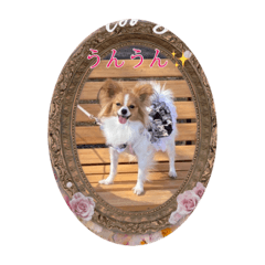 yukari_20200418125216