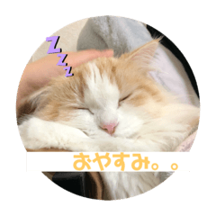 saya_20200418130146