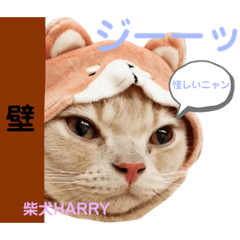 SEIRA_20200413131548