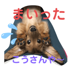 Sumire_20200418161709