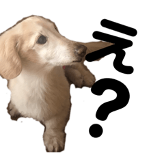 haruna_20200418173321