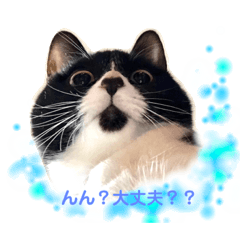 tomomi_20200418204619