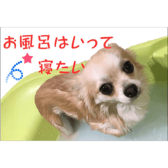 mimi_20200418204422