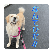 komuginomama_20200418210702