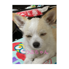KAHO_20200414140829
