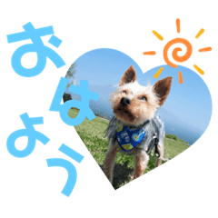 ayumi_20200418133814