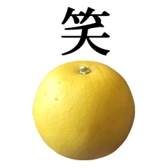 grapefruit kokusan 3