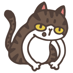 Lala zoo-tabby cat