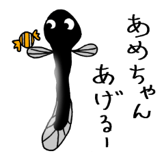 Mr.eel
