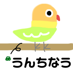 Deme-chan of Button parakeet!!