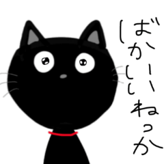 黒猫の魚沼弁（新潟弁）