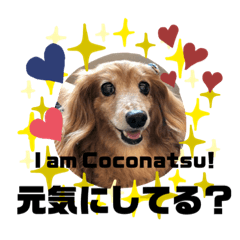 ココナツの明るい未来にSuperJump!(完結版)
