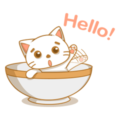 Cat in a bowl