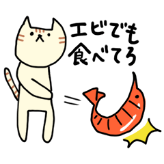 Cat throw the shrimp
