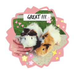 Minnie and Oreo ( version 3 )