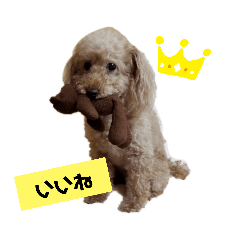 hana_20200413200145