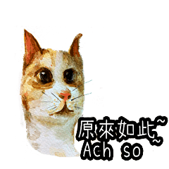 Say with cats in Chinese and German