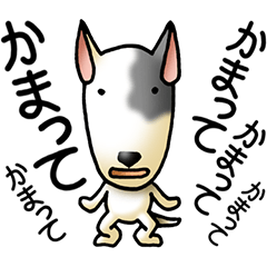 Insistent Bull terrier Dog Sticker(JP)