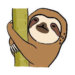 Little adorable sloth