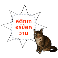 The Alice and Fanny Cat(Thai)