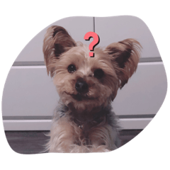 Marina_20200419090334