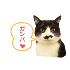 Mustache cat CHIBI NO.3