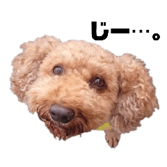 TAKASHI_20200419132916