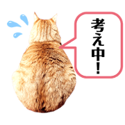 harimama_20200419144749