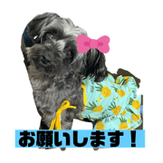 fumika_20200419152431