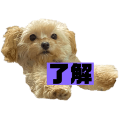 monaka_20200418144358