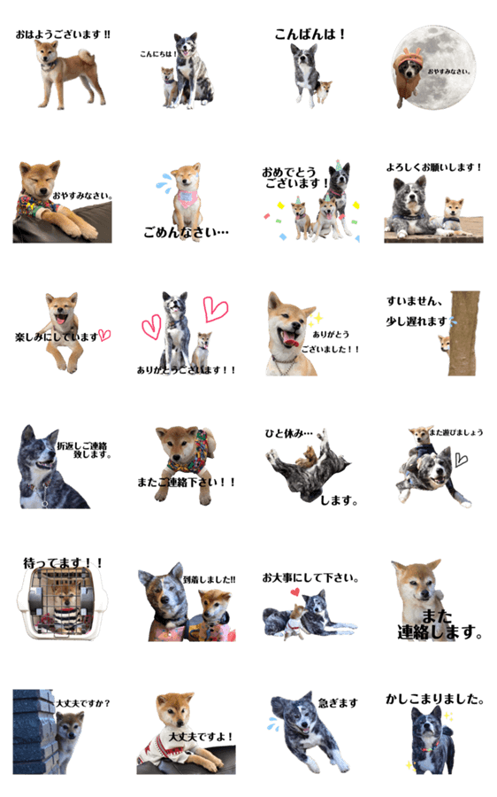 秋田犬うたと豆柴こと たまにれん 敬語 Lineクリエイターズスタンプ Stamplist 秋田犬うたと豆柴こと たまにれん 敬語 Lineクリエイターズスタンプ Stamplist