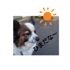 satoshi_20200419164304