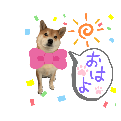 aoi_20200419164321