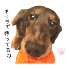 Mocha no kimochi
