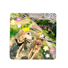 hana_20200414114905