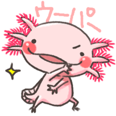 Pretty Axolotl Sticker