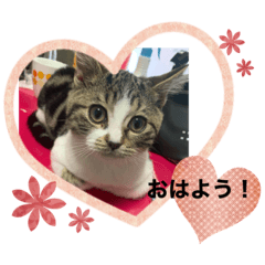 nozomi_20200419184749