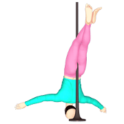 Pole danna