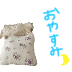 kaho_20200419201753