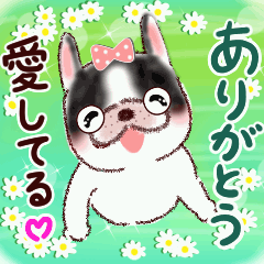 愛してる言葉♡HAPPYフレブルちゃん