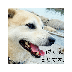 kurumi_20200419171333