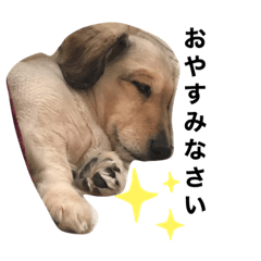 Smile_20200419171049