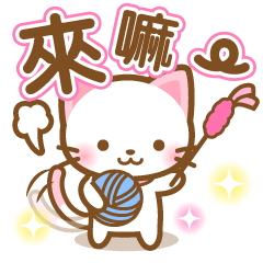 White&pink colored Cat2 -Taiwan-