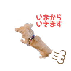 hana_20200419205909
