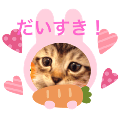 kaho_20200419220057abcdef