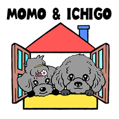 Momotaro and Ichigo